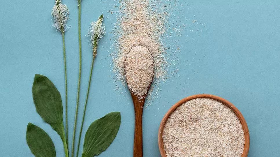 Isabgul (Psyllium Husk)